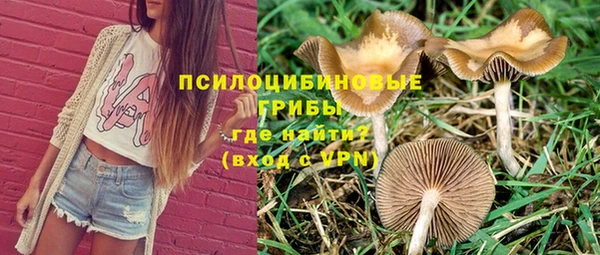 альфа пвп Горняк