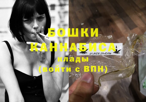 mdpv Горно-Алтайск